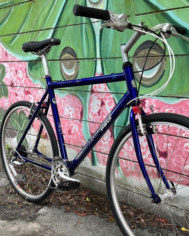 Bikes and More Gainesville Florida Since 1983